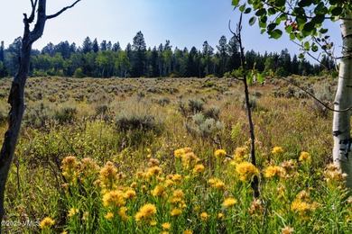 Build Your Dream Mountain Retreat in Cordillera! This desirable