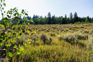 Build Your Dream Mountain Retreat in Cordillera! This desirable