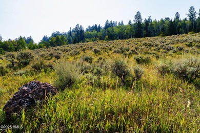 Build Your Dream Mountain Retreat in Cordillera! This desirable