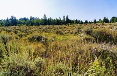 Build Your Dream Mountain Retreat in Cordillera! This desirable