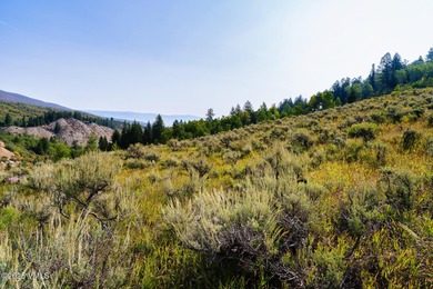 Build Your Dream Mountain Retreat in Cordillera! This desirable