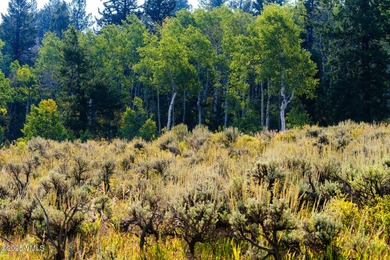 Build Your Dream Mountain Retreat in Cordillera! This desirable