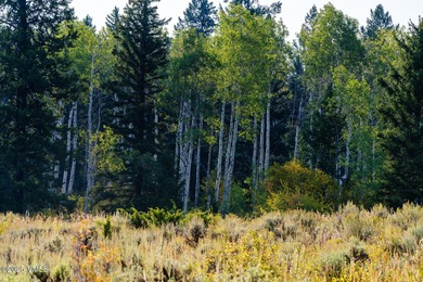 Build Your Dream Mountain Retreat in Cordillera! This desirable