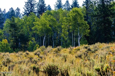 Build Your Dream Mountain Retreat in Cordillera! This desirable