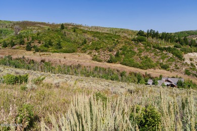 Build Your Dream Mountain Retreat in Cordillera! This desirable