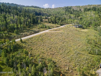 Build Your Dream Mountain Retreat in Cordillera! This desirable