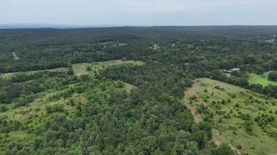 Midwest Land Group is pleased to present Tract 2 of 24 - photo 8
