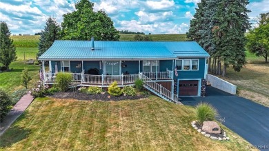 Lake Home For Sale in Castile, New York