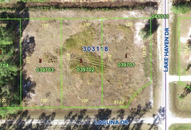 Lake Weohyakapka (Lake Walk-In-Water) Lot For Sale in Indian Lake Estates Florida