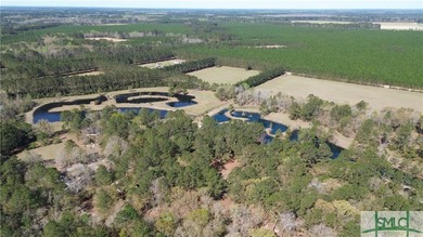 (private lake, pond, creek) Acreage For Sale in Clyo Georgia