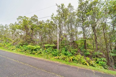 Build your dream home on this wooded large back flag lot with - photo 6