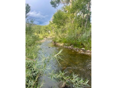 Lake Lot For Sale in Poncha Springs, Colorado