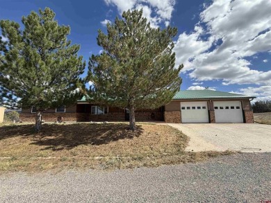 Lake Home For Sale in Crawford, Colorado