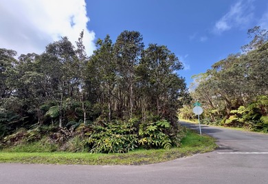 Discover the opportunity to own a desirable corner lot in Mauna - photo 3
