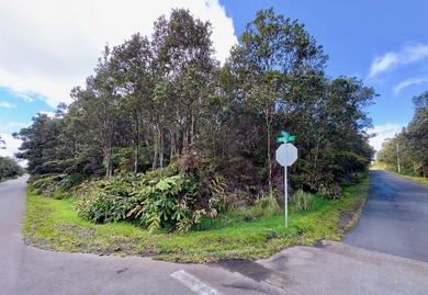 Discover the opportunity to own a desirable corner lot in Mauna - photo 4