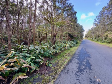Discover the opportunity to own a desirable corner lot in Mauna - photo 6