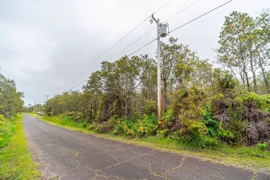 Build your dream home on this flag lot in Royal Hawaiian Estates - photo 4