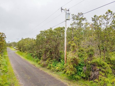 Build your dream home on this flag lot in Royal Hawaiian Estates - photo 5