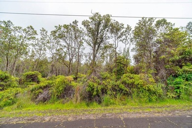 Build your dream home on this flag lot in Royal Hawaiian Estates - photo 6