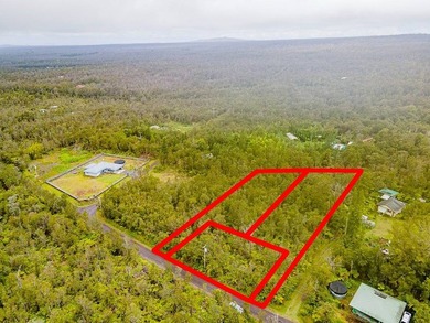 Build your dream home on this flag lot in Royal Hawaiian Estates - photo 9