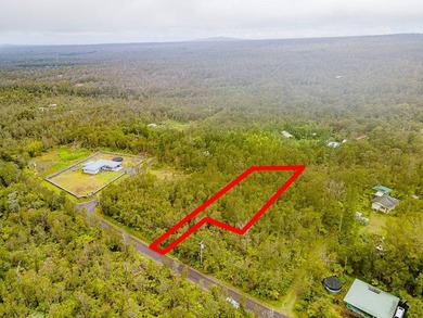 Build your dream home on this flag lot in Royal Hawaiian Estates - photo 10
