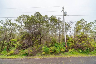 Build your dream home on this front lot in Royal Hawaiian - photo 3