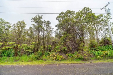 Build your dream home on this front lot in Royal Hawaiian - photo 4