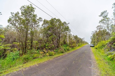 Build your dream home on this front lot in Royal Hawaiian - photo 8