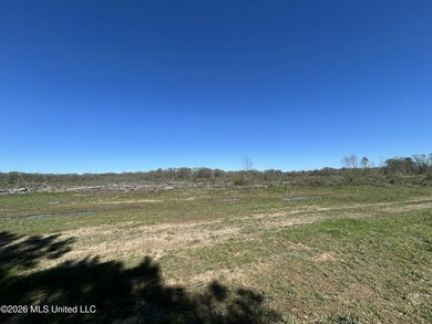 If you've been looking for a tract you can truly make your own - photo 28