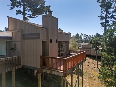 Wake up to views of the pine trees, the Santa Lucia mountains - photo 30