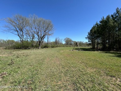 If you've been looking for a tract you can truly make your own - photo 33