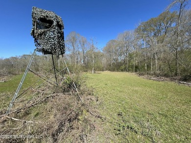 If you've been looking for a tract you can truly make your own - photo 34