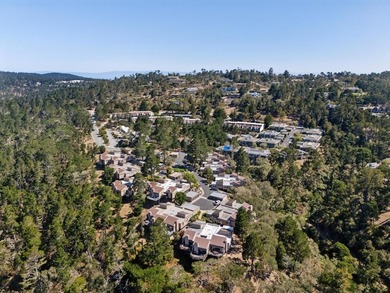 Wake up to views of the pine trees, the Santa Lucia mountains - photo 35