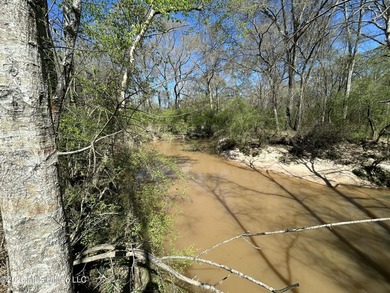 If you've been looking for a tract you can truly make your own - photo 36