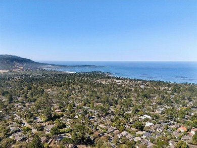 Wake up to views of the pine trees, the Santa Lucia mountains - photo 38