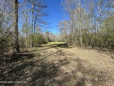If you've been looking for a tract you can truly make your own - photo 40