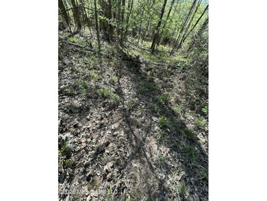 If you've been looking for a tract you can truly make your own - photo 41