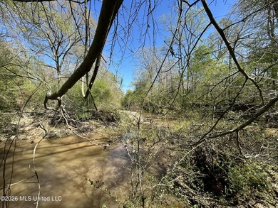 If you've been looking for a tract you can truly make your own - photo 42