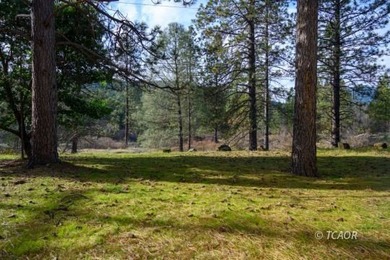 Tucked among towering pines in a quiet Weaverville neighborhood - photo 43