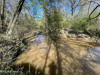 If you've been looking for a tract you can truly make your own - photo 43
