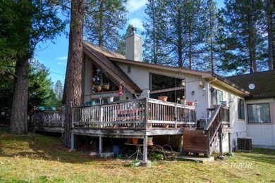 Tucked among towering pines in a quiet Weaverville neighborhood - photo 46