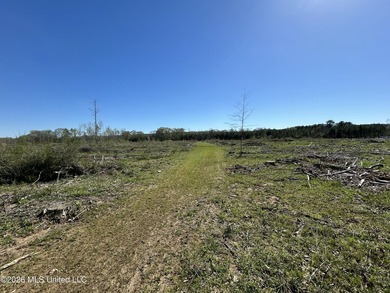 If you've been looking for a tract you can truly make your own - photo 48
