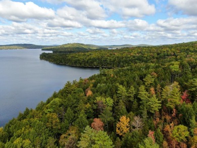 Lake Acreage For Sale in Enfield, Maine