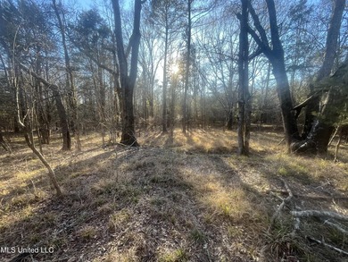 Welcome to Springwood Trail, come experience this new lakefront - photo 16