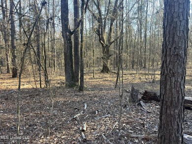 Welcome to Springwood Trail, come experience this new lakefront - photo 17