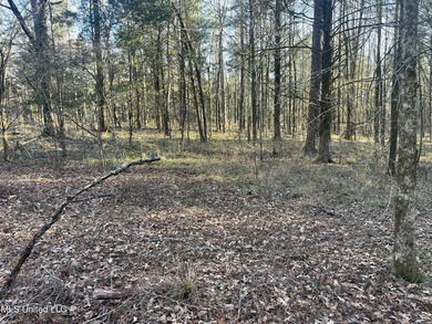 Welcome to Springwood Trail, come experience this new lakefront - photo 24