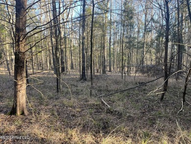 Welcome to Springwood Trail, come experience this new lakefront - photo 28
