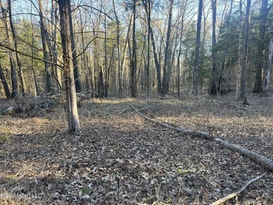 Welcome to Springwood Trail, come experience this new lakefront - photo 30