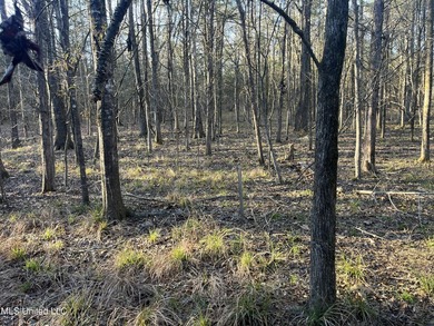 Welcome to Springwood Trail, come experience this new lakefront - photo 31