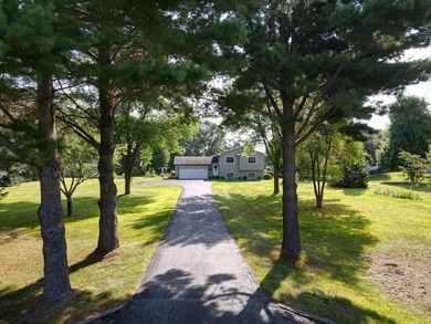 Wallmark Lake Home For Sale in Chisago City Minnesota